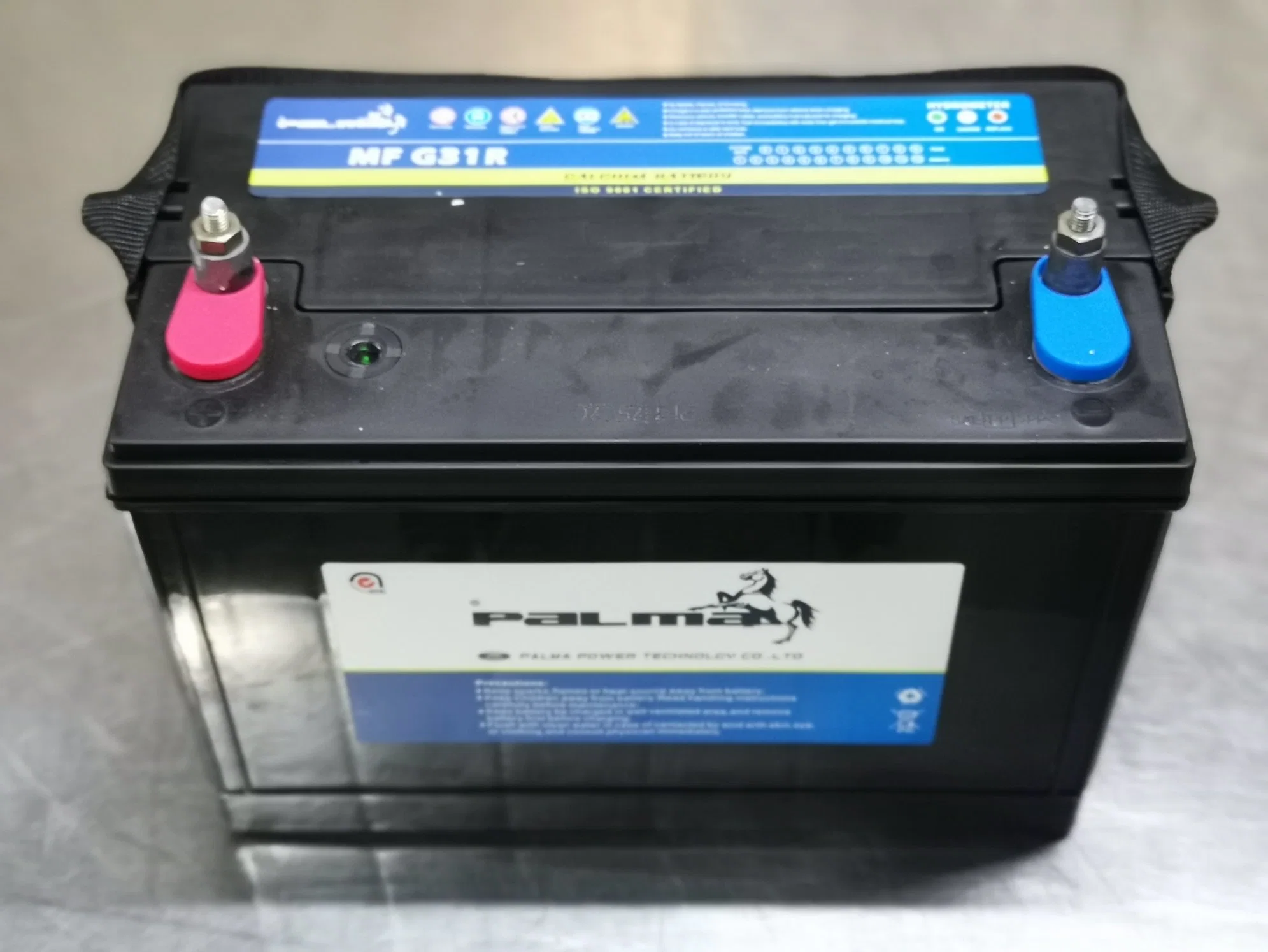 Group 31 Dual-Purpose AGM Battery, 92 AMP Hours