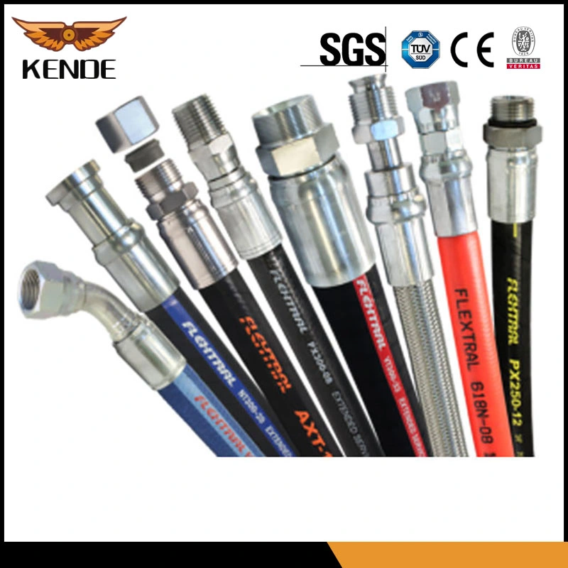 European and American Standards Hydraulic Hose and Fittings / Hose Assembly