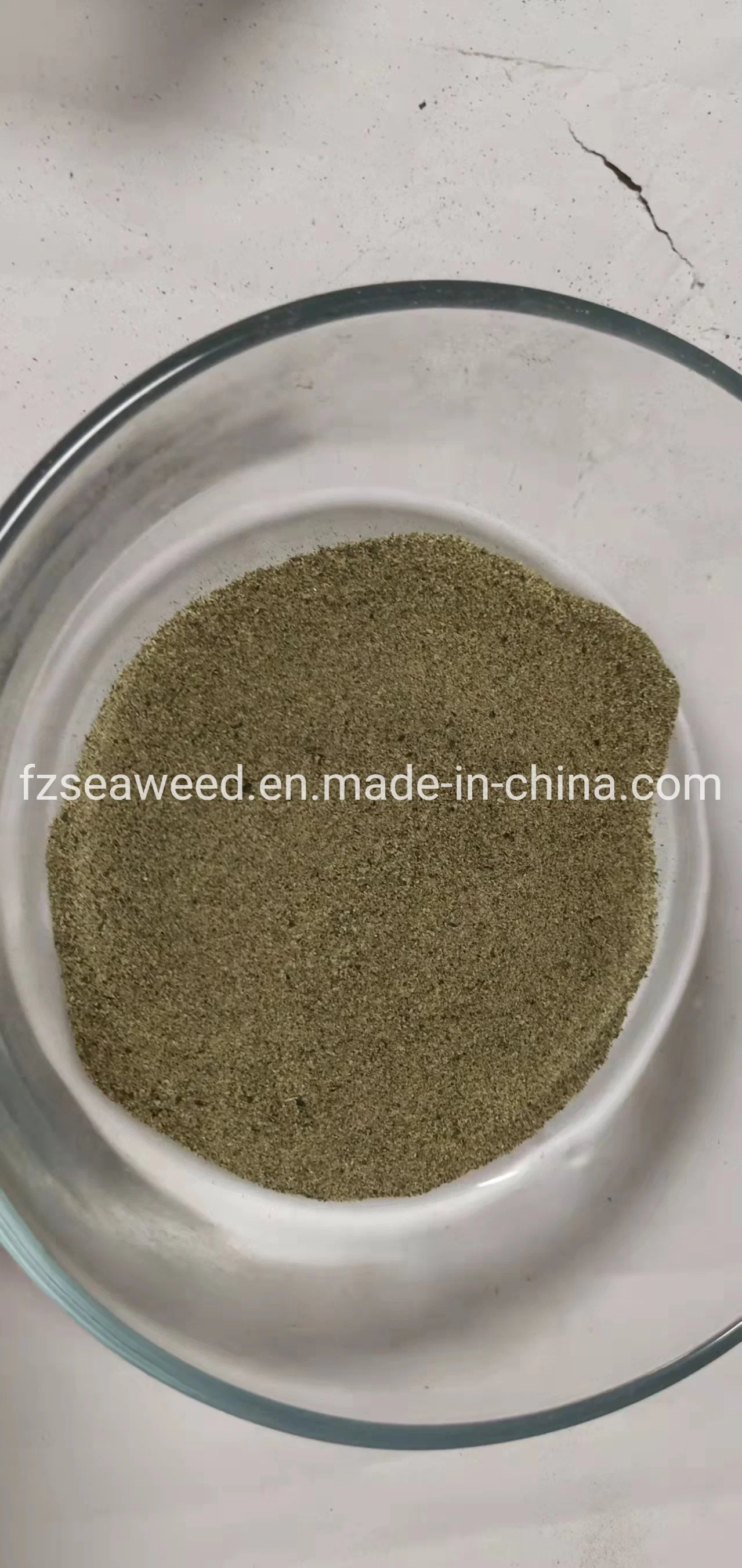 Green Kelp Powder Plant Extract for Food