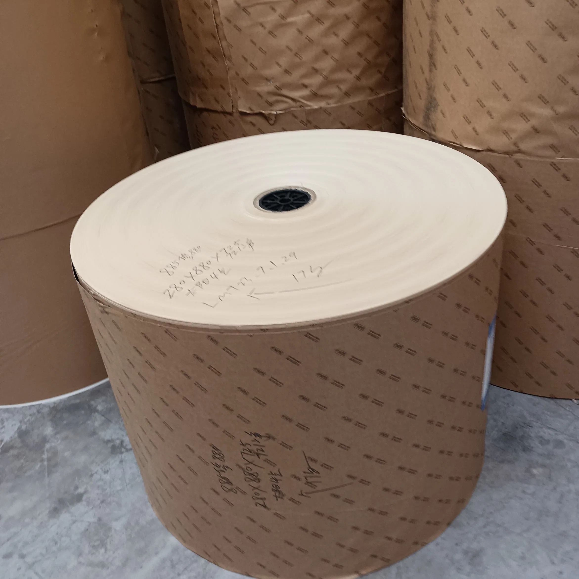 Vente en gros papier PE couché papier de la tasse carton 280 G/M2 en vrac normal