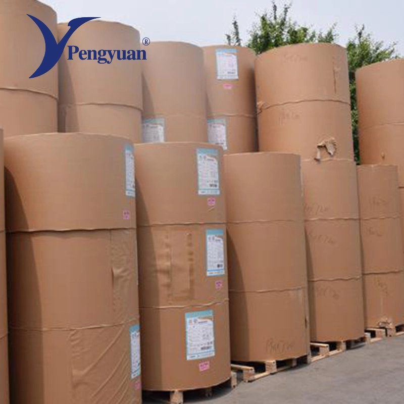 100-200 GSM Paper Coated 18 GSM PE Paper Cup Roll