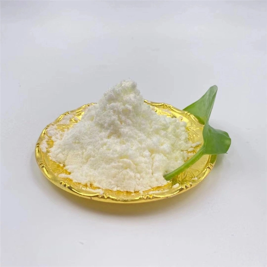 High quality/High cost performance Pharmaceutical Smart Drugs Pramiracetam Powder CAS 68497-62-1 Purity 99% Pramiracetam 100% Through Customs