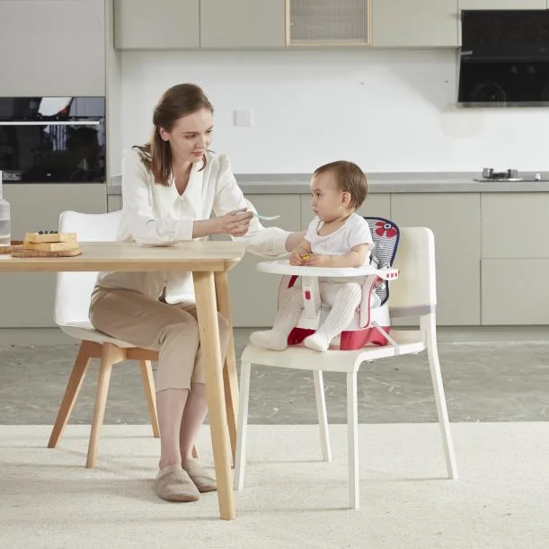 Multifunctional Baby Dining Chair with Detachable Dinner Plate