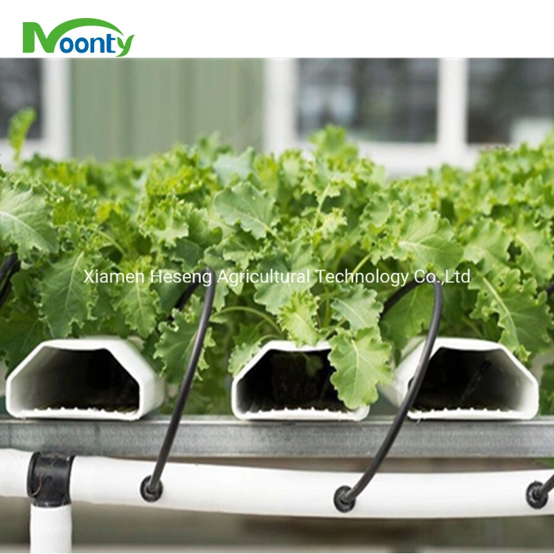 Commercial Hot Sale Hydroponic Channel System in Greenhouse and Farm Nft Hydroponics System with Hydroponics Equipment for Lettuce/Celery/Greens Cultivation