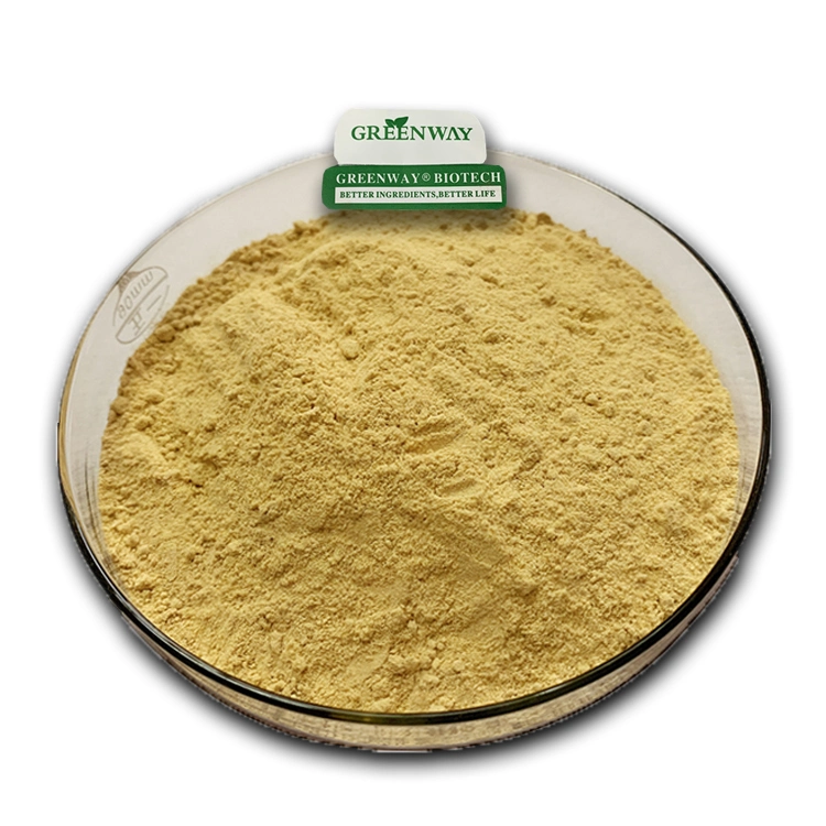 High quality/High cost performance  Ginger Extract Powder Water Soluble Ginger Extract 6-Gingerol Natural Gingerols 10% 15% 20% for Antibacterial