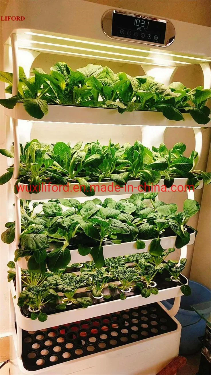 China Supplier Lettuce Indoor Hydroponics Soilless Cultivator with Hydro Nutrients