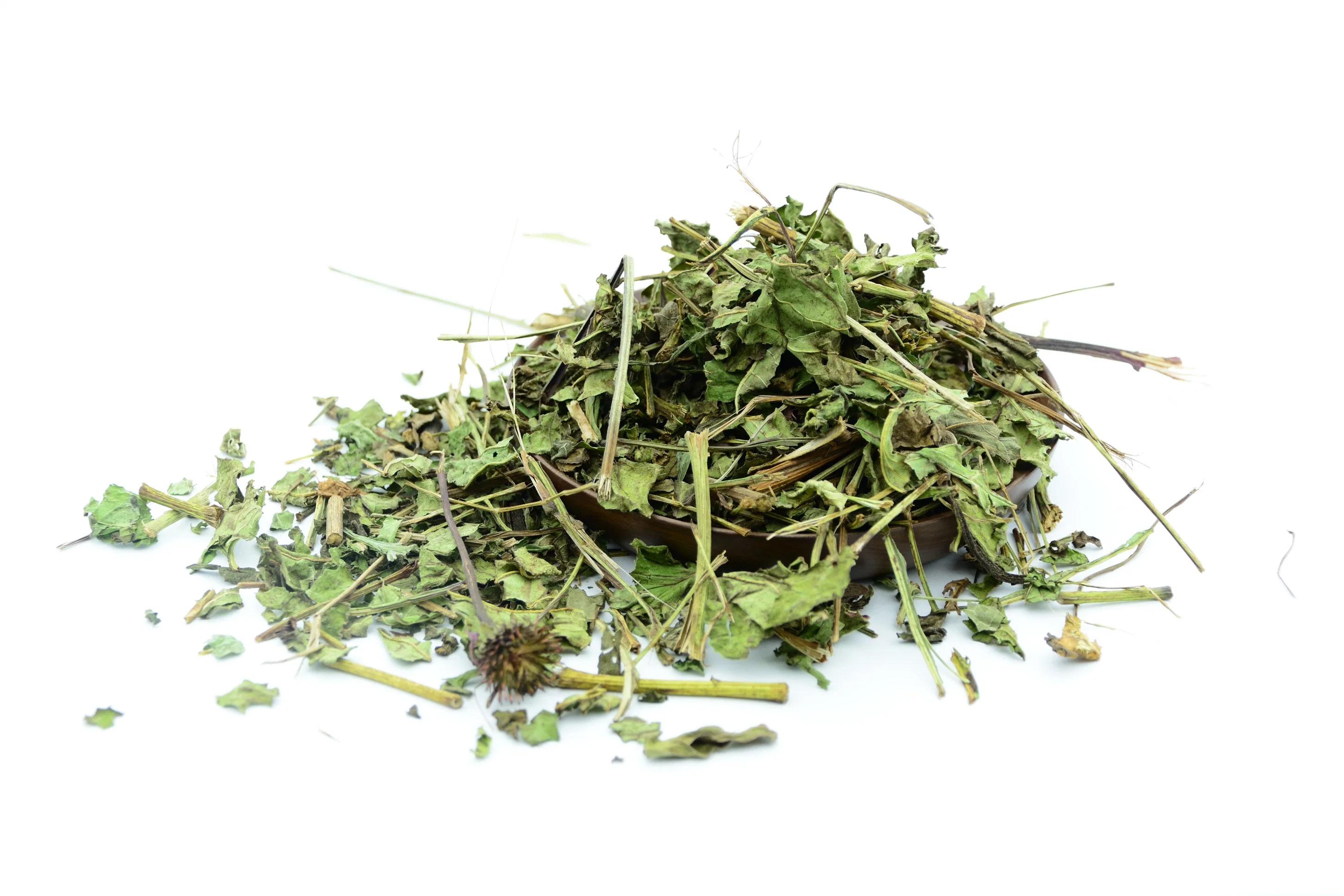 Herb Ingredients in Bulk Echinacea Extract High Purity 4% Chicoric Acid Herb Echinacea Purpurea Extract Powder