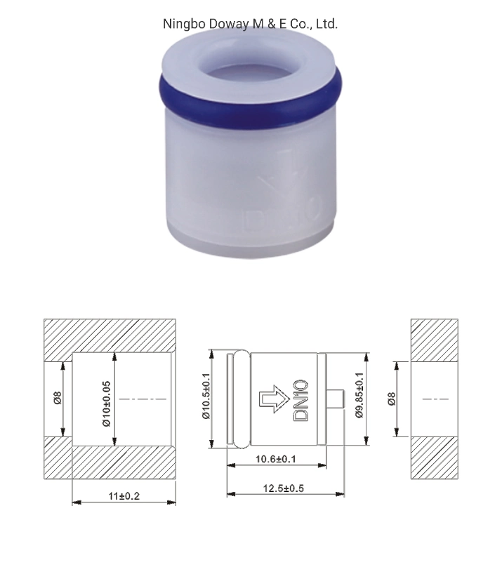 DN16 POM Spring Cartridge Check Valve