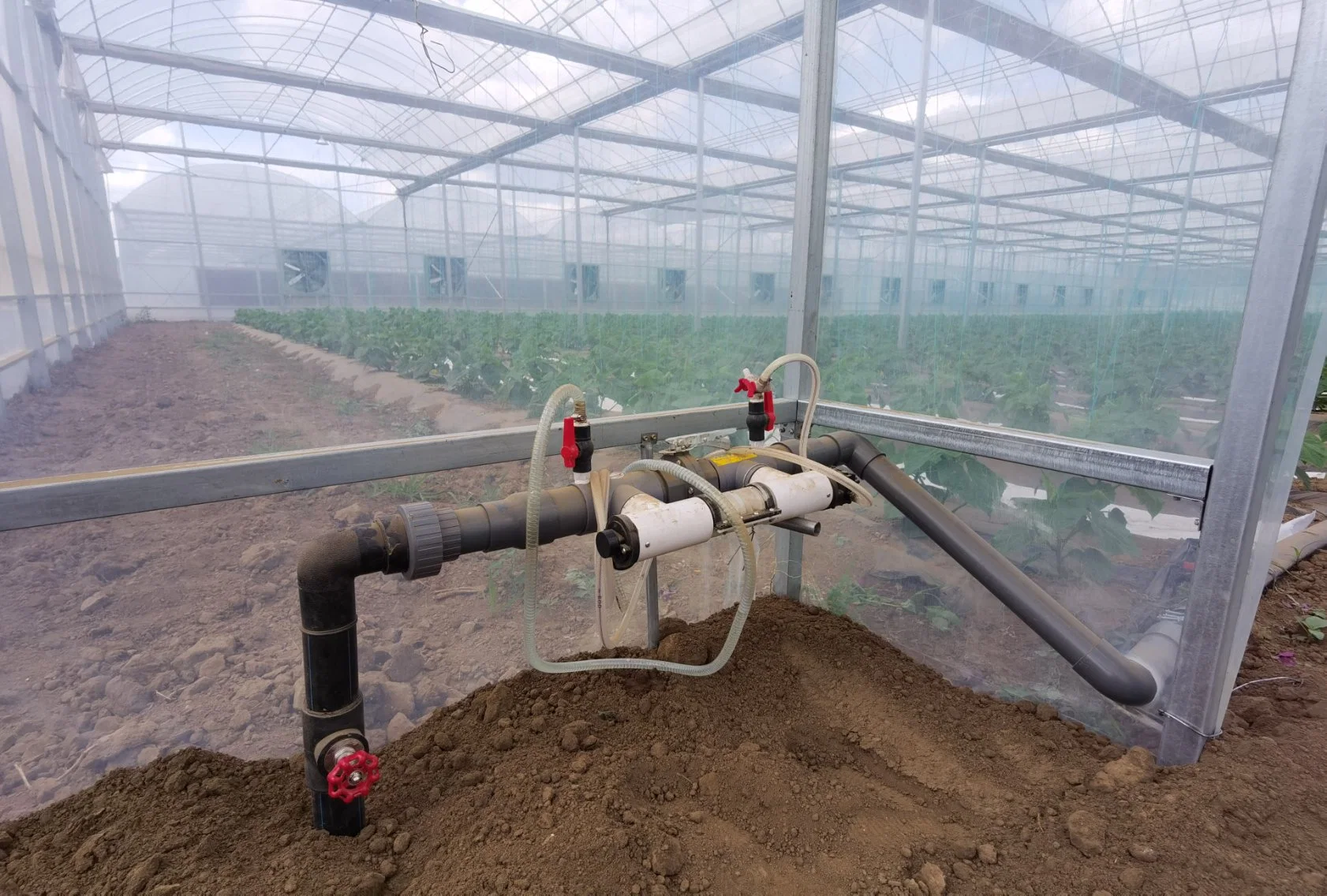 Túnel de película plástica de una sola Span Agricultura túnel de una sola Span invernadero para Fresa creciendo