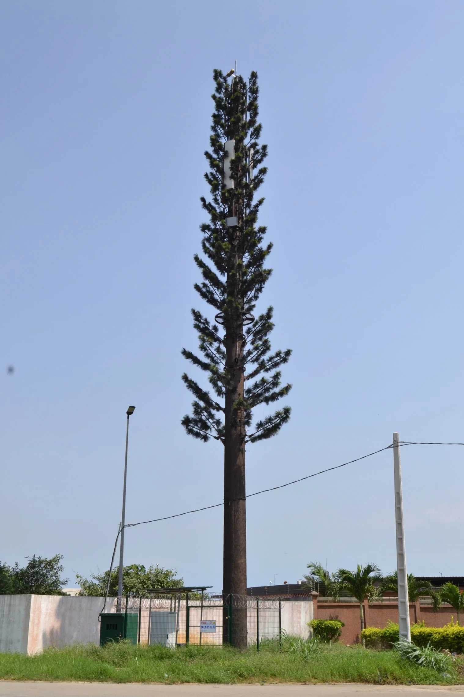 Camouflaged Palm or Pine Tree Monopole Antenna Mobile Telecom Tower