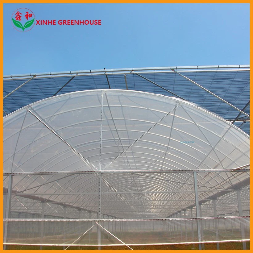 Antidrip, Ultraviolet-Proof Film Tunnel Hydroponic Systems Plant Solar Greenhouse Covering