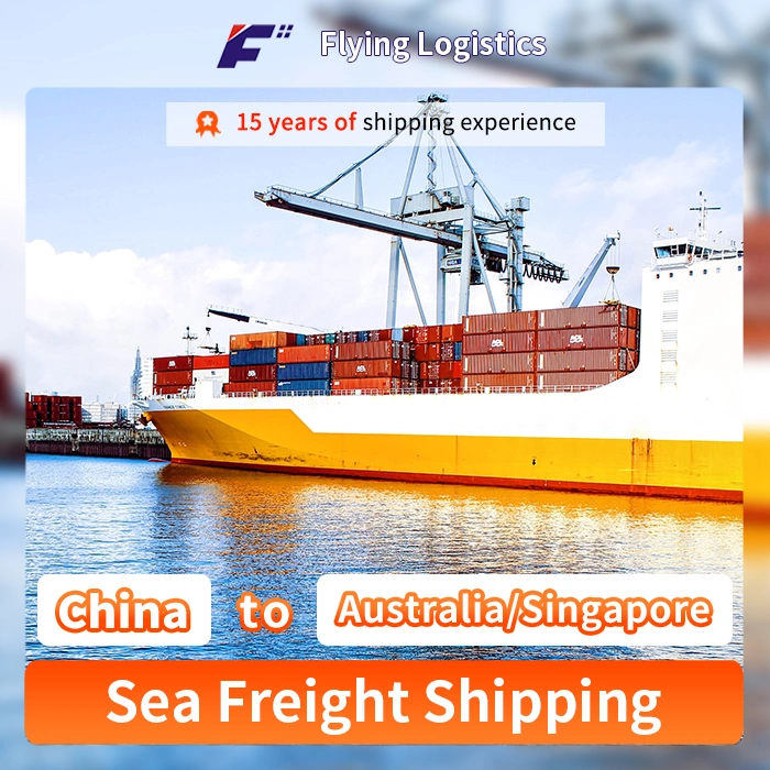 International Sea Freight From China to Australia/Singapore Route Logistics Service