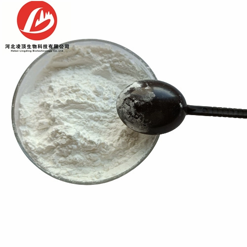 Supply Terephthalic Acid Product with Good Quality 100-21-0