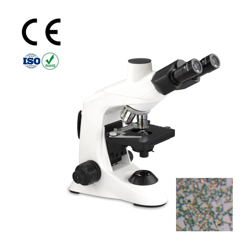 1000X Student Medical Instrument for Portable Binocular Microscope