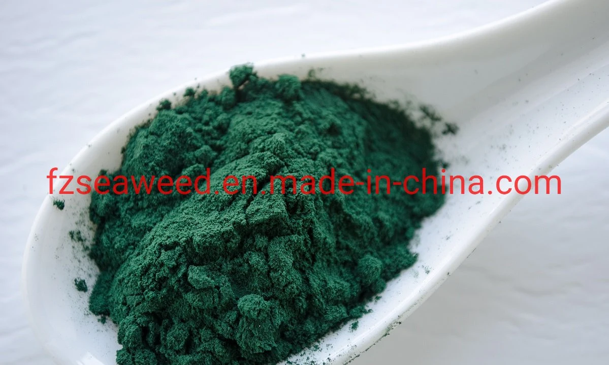 Healthy Sea Product High Protein Spirulina Powder Pill for Food