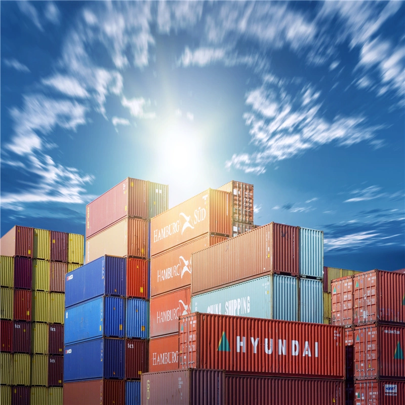 Sea Freight Forwarder Shipping Cost China to UK France Germany Poland Sweden Europe