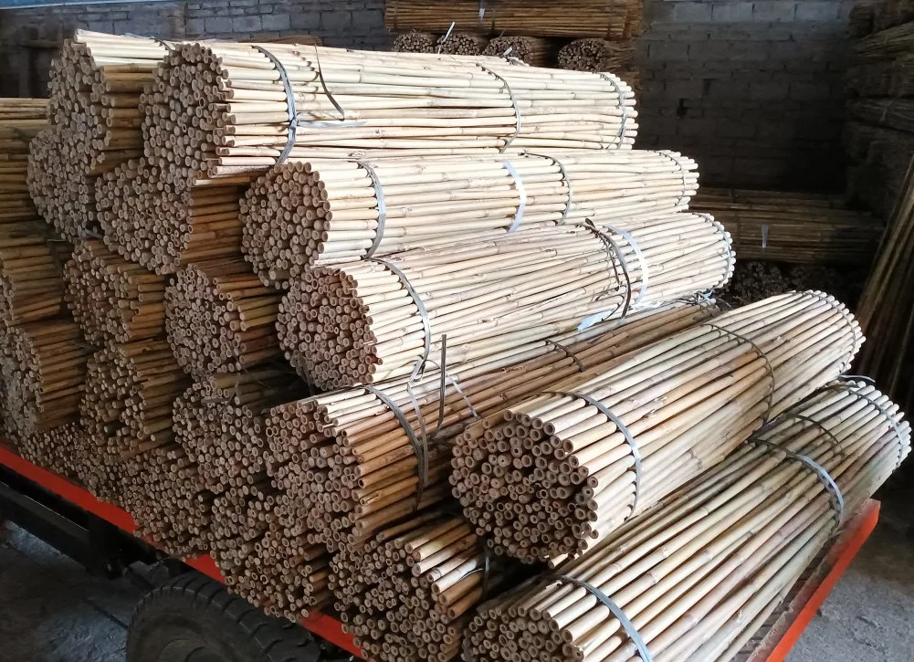 Plant Support Stick Bamboo Poles / Bamboo Poles for Farming