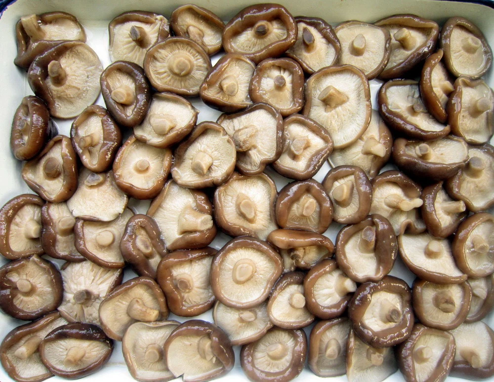 La Chine usine champignon shiitake fraîches entières avec prix le moins cher