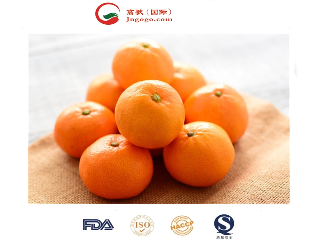 Chinese Fresh, Sweet and High-Quality Mandarin