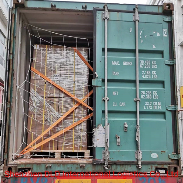 Logistics/Sea Freight/Battery (DG) FCL Transport/Basic Ports From China to USA