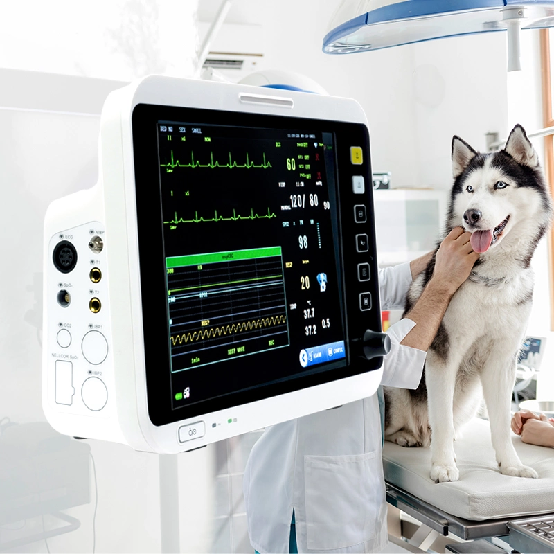 Portable Multi-Parameter Monitor de signos vitales del monitor de paciente manufactura Monitor veterinario