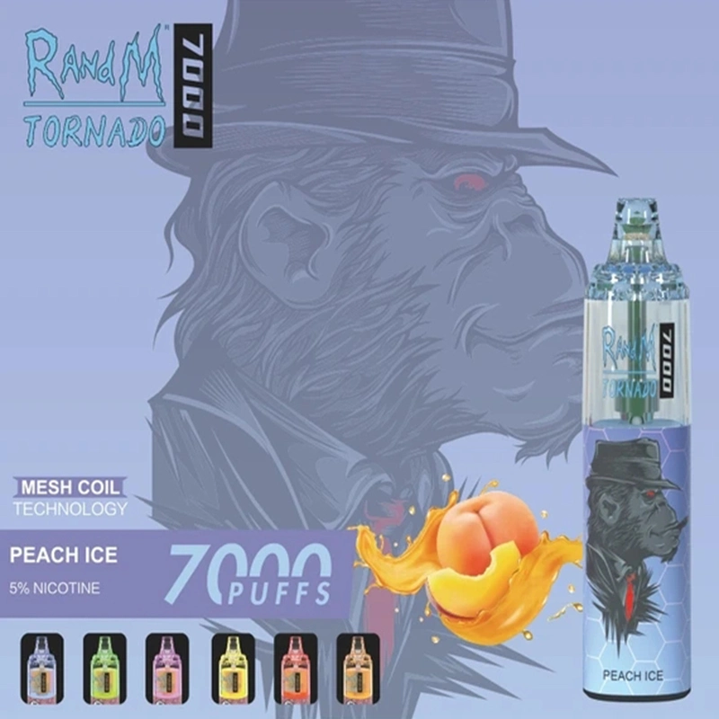 Ventes en usine directement Randm Tornado 7000 Puffs stylo Vape rechargeable Liquide E-Liquid 14 ml avec lumière RVB