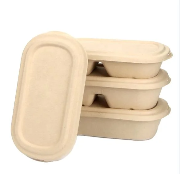 500ml Compostable Bagasse Take out Eco Fast Food Packaging Lunch Bento Box