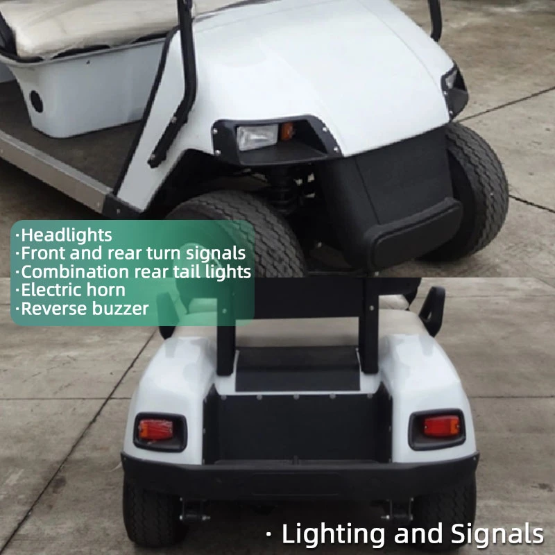 Custom 4 Passengers Community Golf Cart for Beach Zone All Terrain Coastal Community Hunting Dormitory Transportation