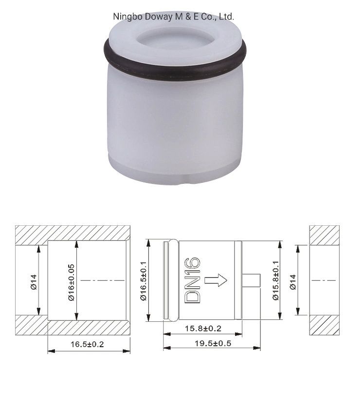 DN16 POM Spring Cartridge Check Valve