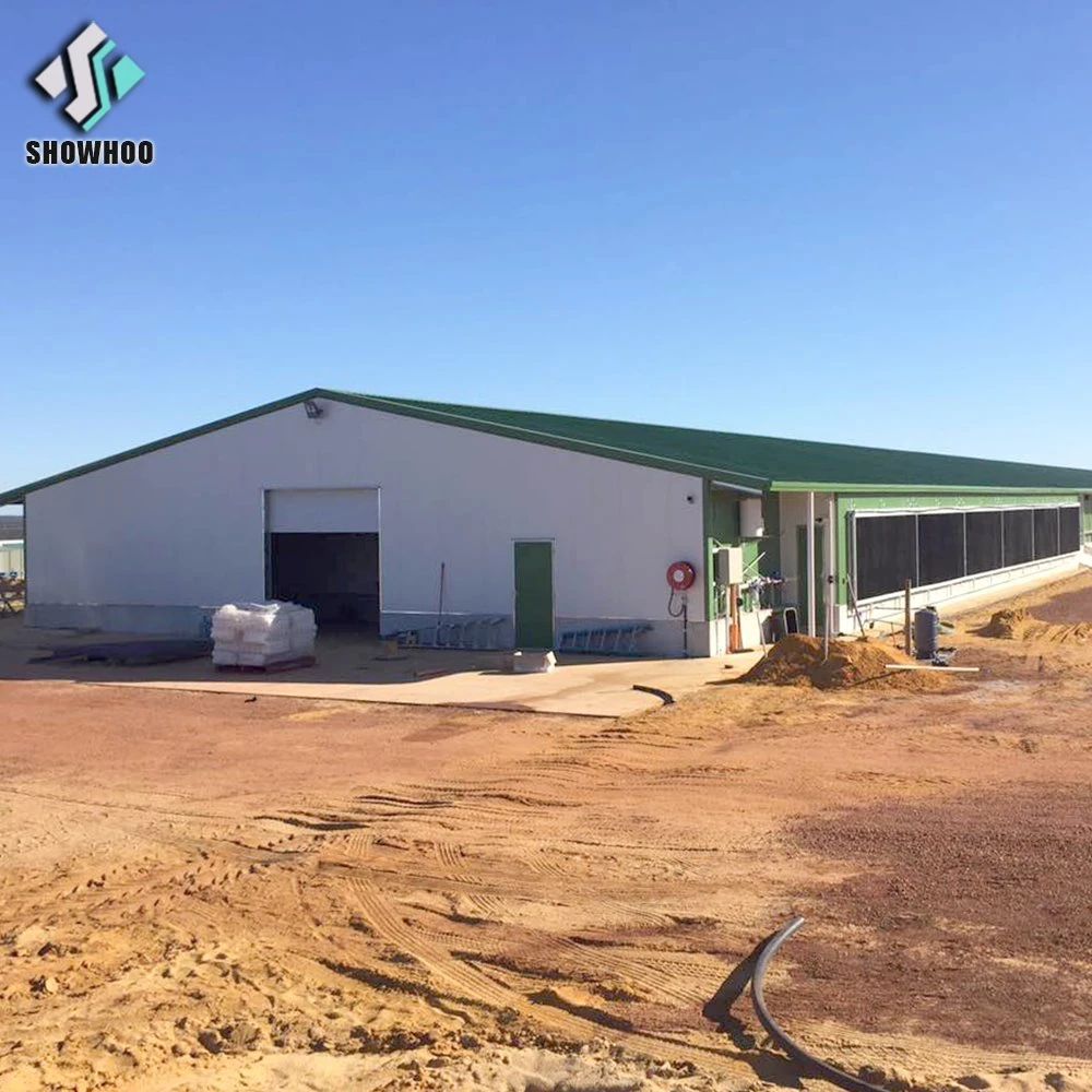 Fertigbau Automatische Schicht Chicken Farm Metall Gebäude Stahl Struktur