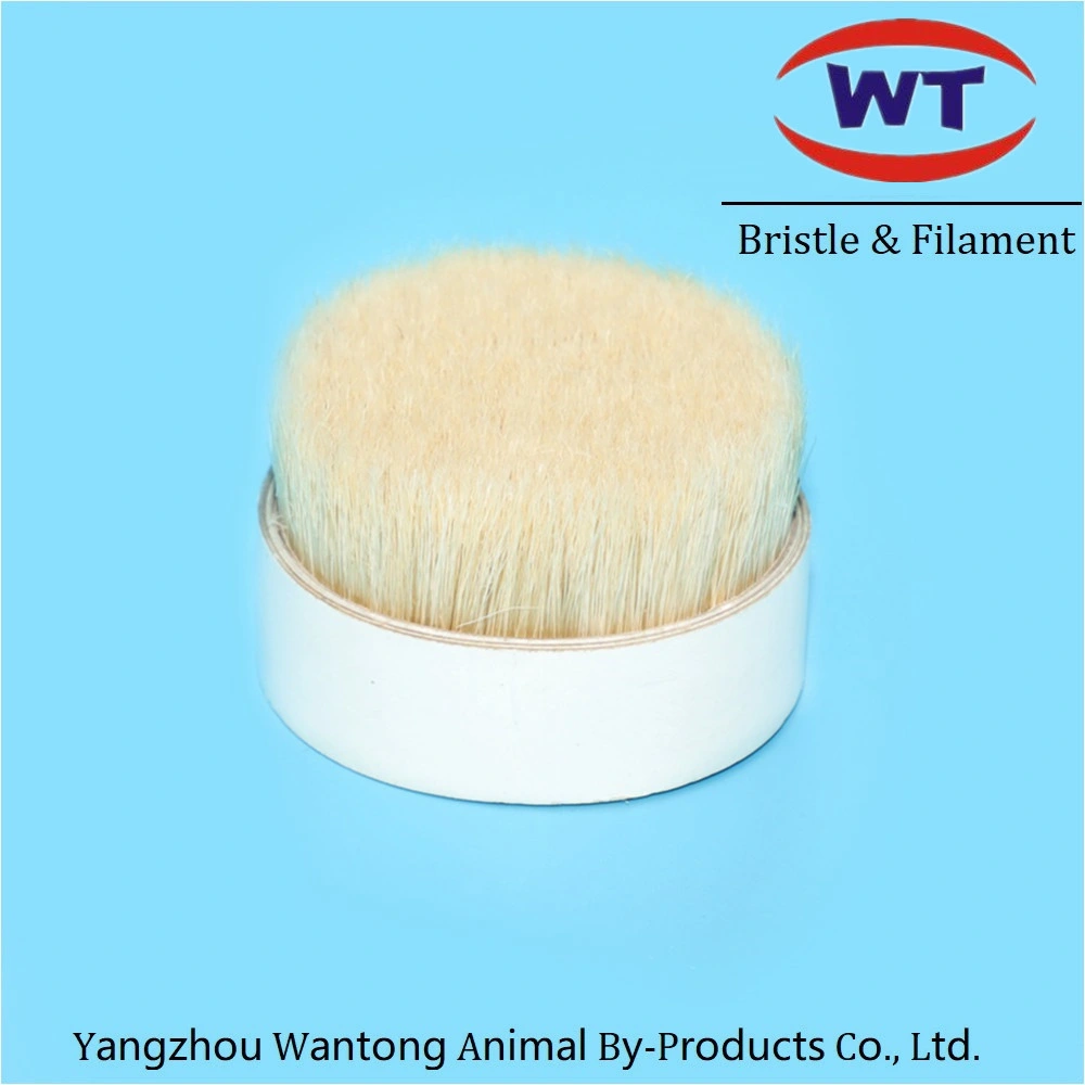 Natural Wild Boar Bristles for Hair Brush