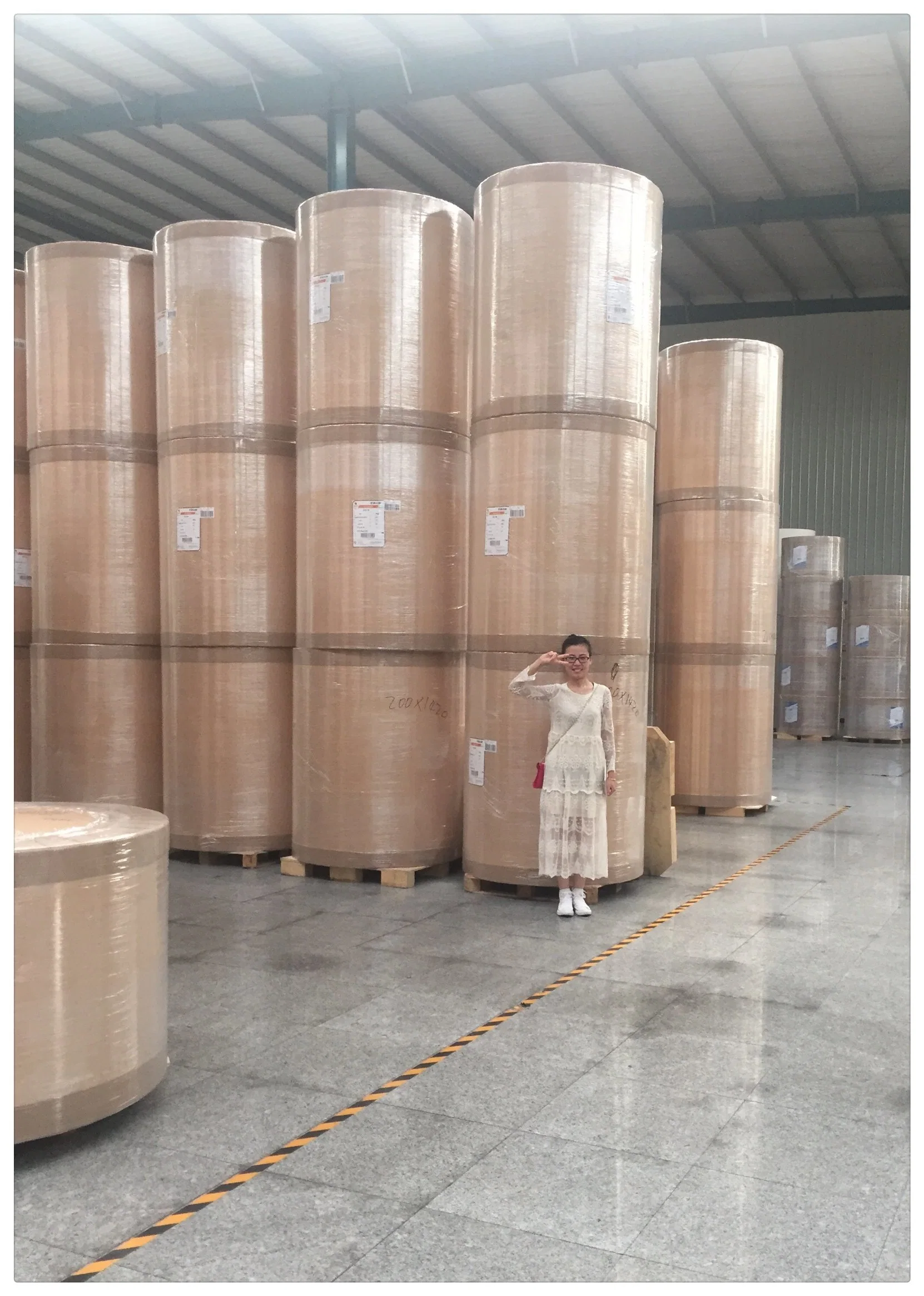 High Glossy PE Coated Paper in Rolls/Sheets for Cup with Low Price