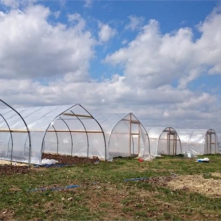 Film Plastic Fruits Single Span Tunnel Warm Greenhouse with Ventilation System for Vegetables Growing