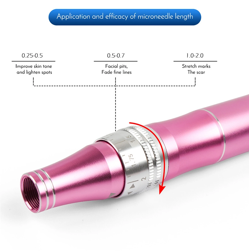 Rechargeable Beauty Instrument 3 Speeds Electric Microneedle Needle Derma Pen for Skin Tattoo Care