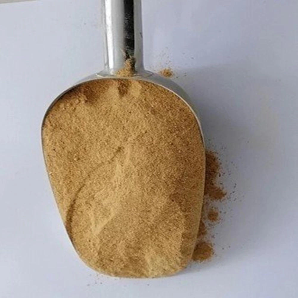 Hydrolyzed Corn Protein Powder in Bulk of Supply From Factory