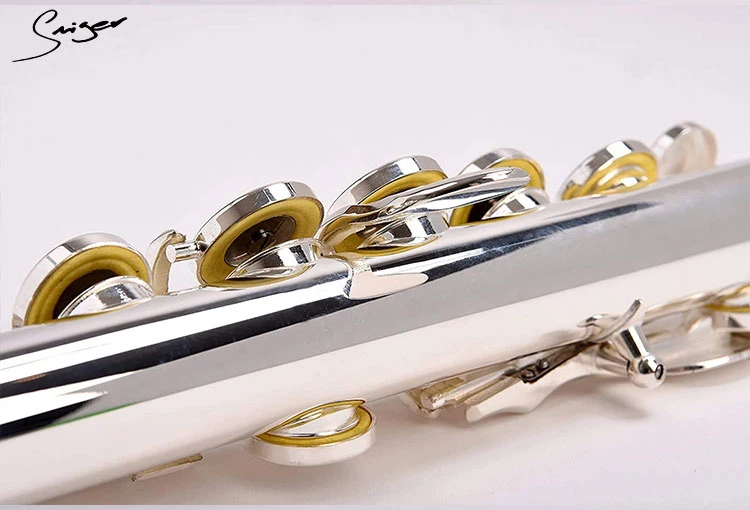 Wholesale/Supplier Musical Instruments Silver Plated Flute with Leather Case