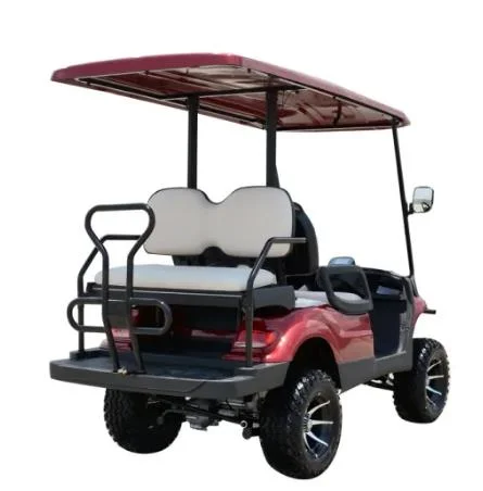 Carro de golfe elétrico elevado com LED Light de 617.2 g e controlador Curtis