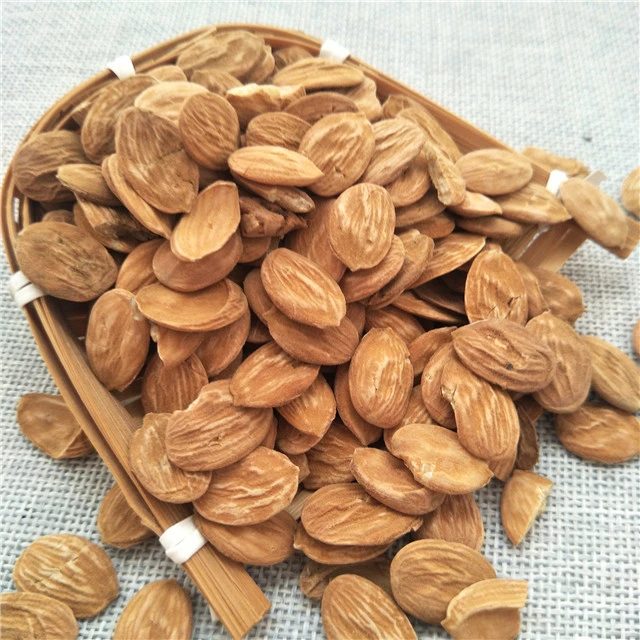 Tao ren Wholesale/Supplier dried peach kernel peach seeds for sale