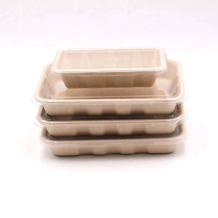 La bagasse de canne à sucre rectangulaire conteneur alimentaire biodégradable avec couvercle