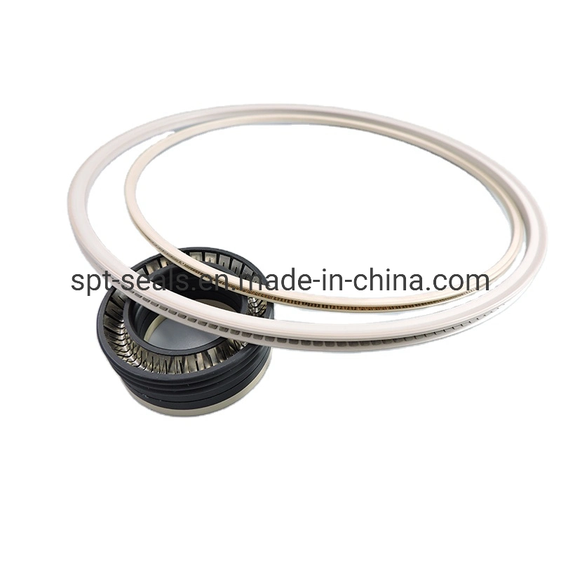 Various Color PTFE&Spring Energized Seal/Variseal Helical Spring Seal Stainless Steel