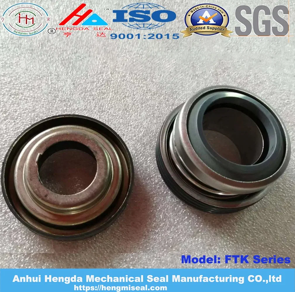 Ftk/Ftk2 Mechanical Seal for Auto Cooling Pump