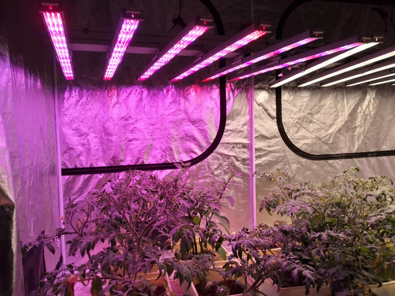 LED Light Full Spectrum 1000W 1200W Waterproof Greenhouse Spectrum LED Grow Light Bar