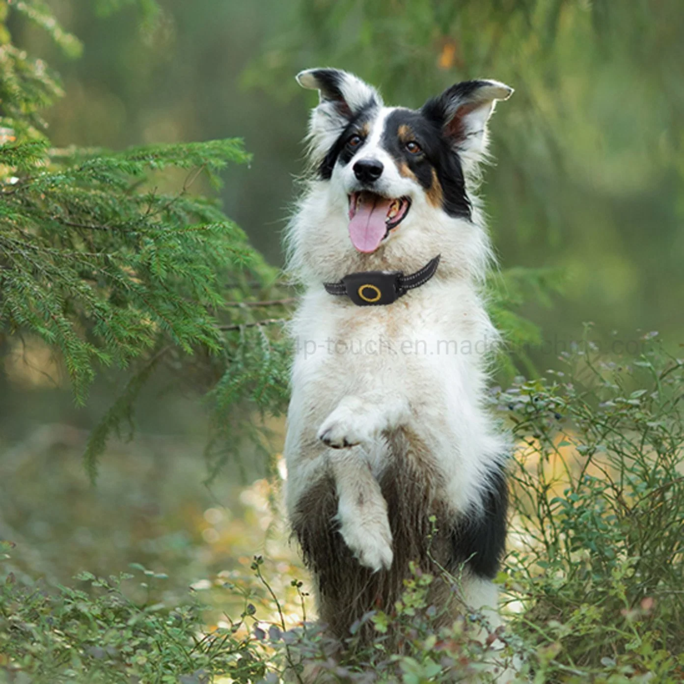 Usine en gros design mince 4G LTE IP67 résistance à l'eau Sécurité Anti-perte suivi précis GPS Tracker pour animaux de compagnie Y41