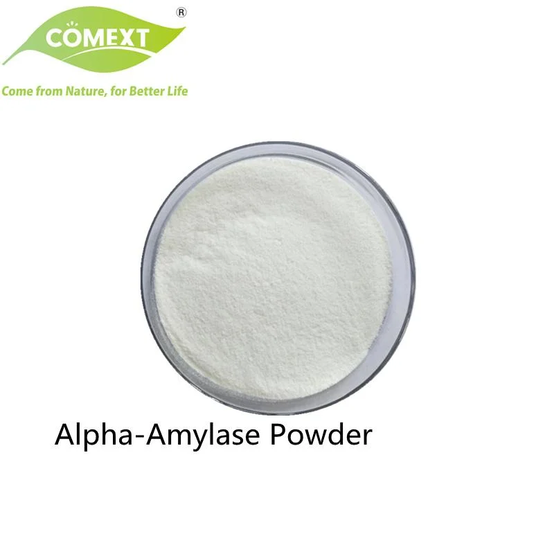 Fabricant Comext Food Grade 99% de pureté Alpha-Amylase additifs/a-Amylase