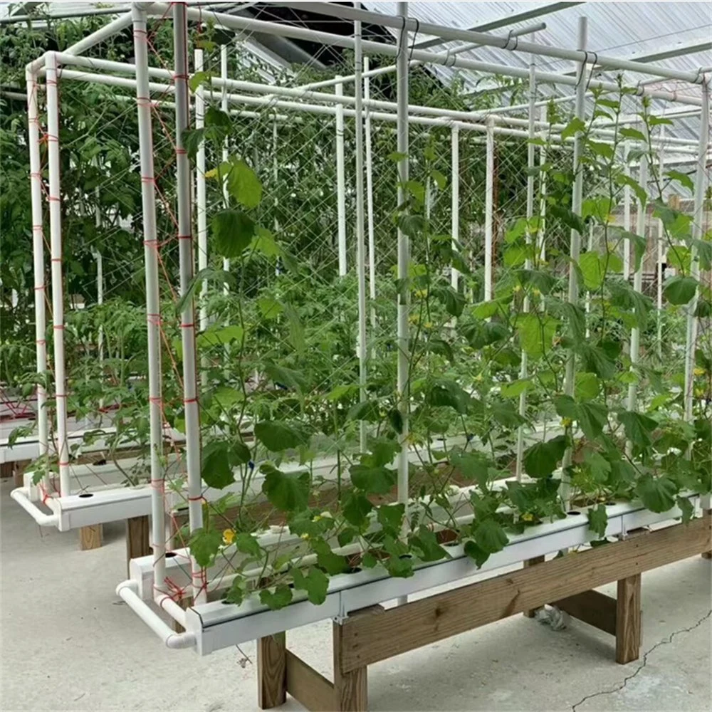 Hydroponics Growing Systems Complete Nft System