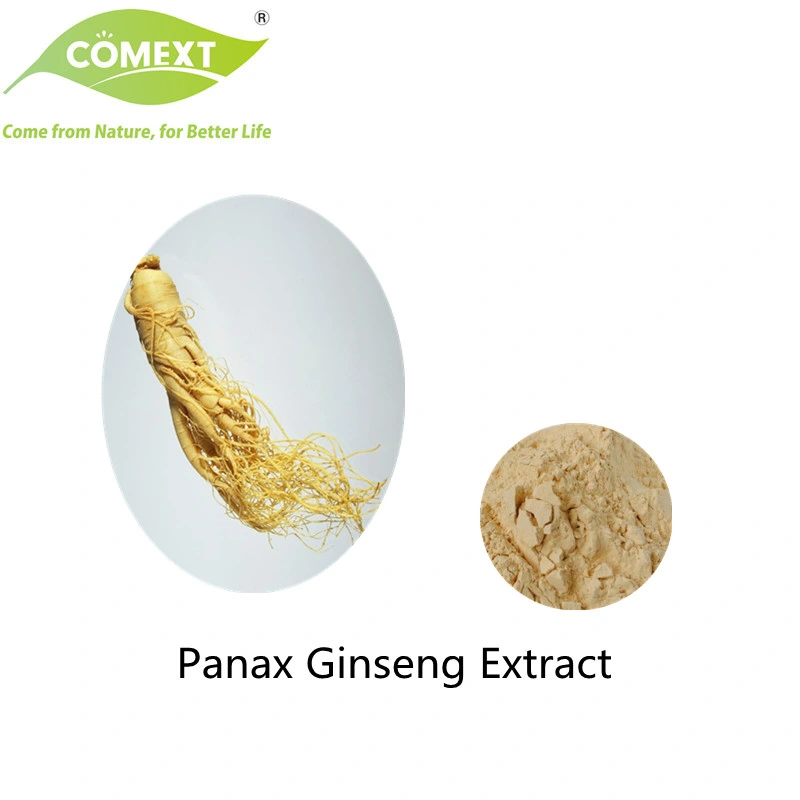 Comext Panax Ginseng Leaf Extract 4%-80% Ginsenoside Healthy High quality/High cost performance  Plant Extract Herbal Extract Natural with Best Price Ginseng Powder