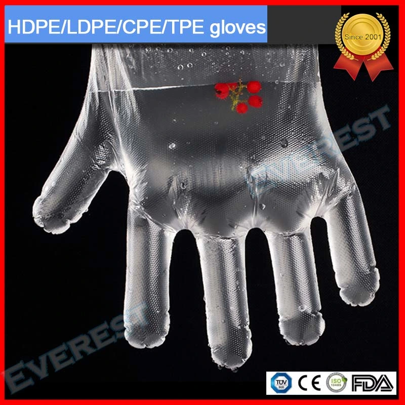 Disposable Plastic PE HDPE LDPE Folded Gloves