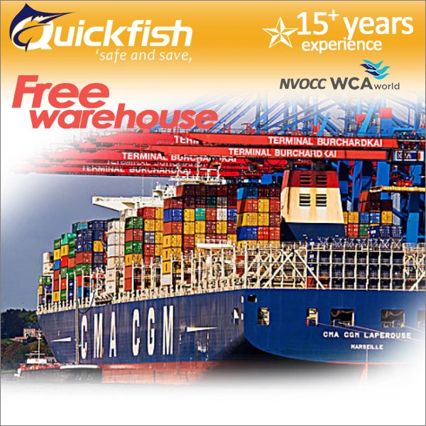 Ocean Air Freight Warehouse Consolidation Services China to Singapore Asia Door to Door