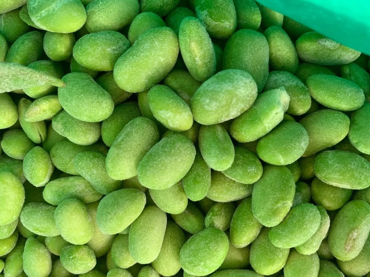 Aliments surgelés IQF pois écossés Edamame ensemble de la Chine usine