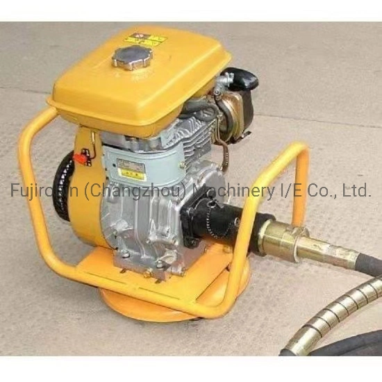 Jiangsu Factory Concrete Vibrating Tools for Sale with Poker Concrete Vibrator Robin Engine Ey20